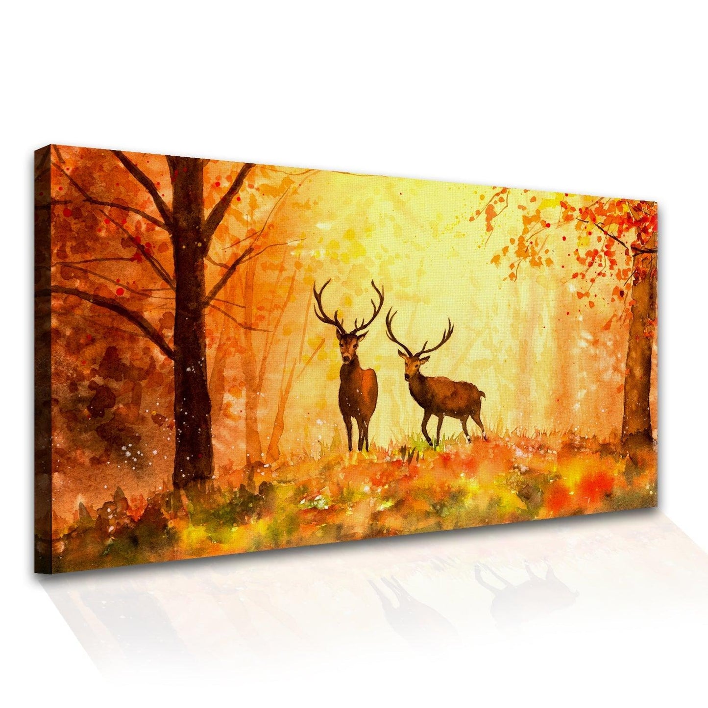 Amazing Wildlife Wall Art. Large Canvas Framed Digital Reprints of Jungle, Wildlife, Animals and Birds. Ready To Hang. Size: 24 Inch x 48 Inch (WBWA30) - Khirki.in