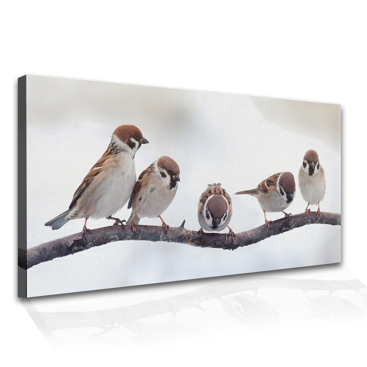 Amazing Wildlife Wall Art. Large Canvas Framed Digital Reprints of Jungle, Wildlife, Animals and Birds. Ready To Hang. Size: 24 Inch x 48 Inch (WBWA29) - Khirki.in