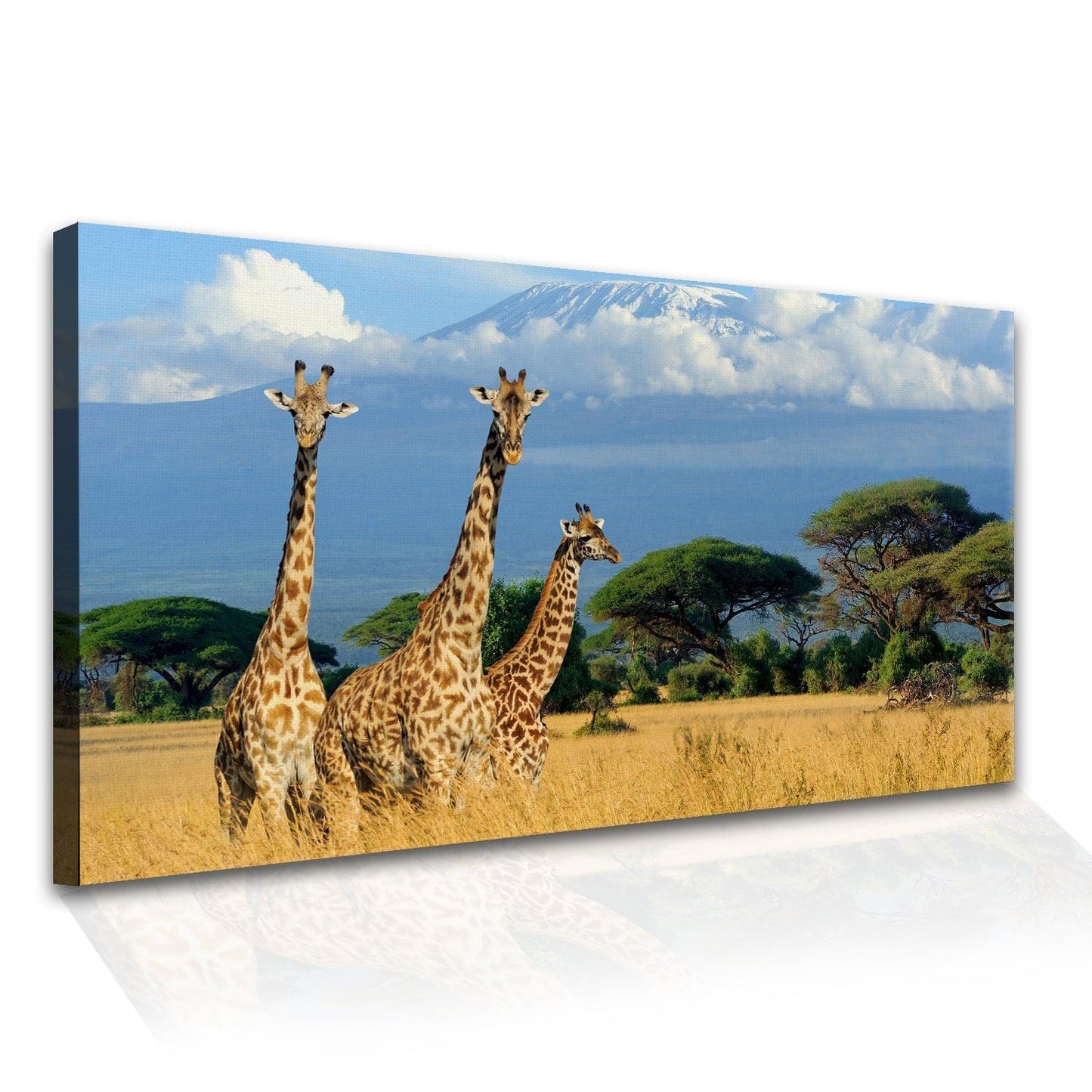 Amazing Wildlife Wall Art. Large Canvas Framed Digital Reprints of Jungle, Wildlife, Animals and Birds. Ready To Hang. Size: 24 Inch x 48 Inch (WBWA27) - Khirki.in