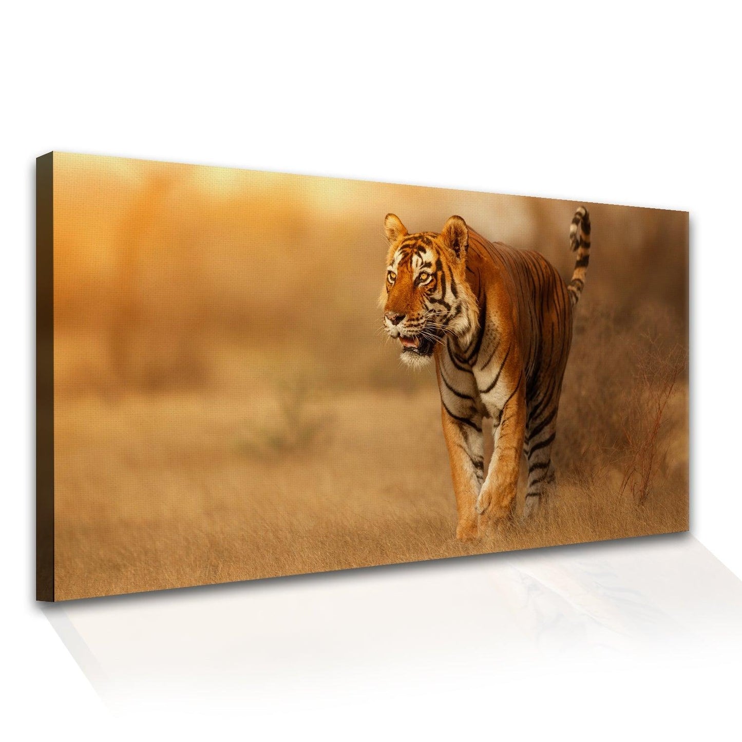 Amazing Wildlife Wall Art. Large Canvas Framed Digital Reprints of Jungle, Wildlife, Animals and Birds. Ready To Hang. Size: 24 Inch x 48 Inch (WBWA28) - Khirki.in