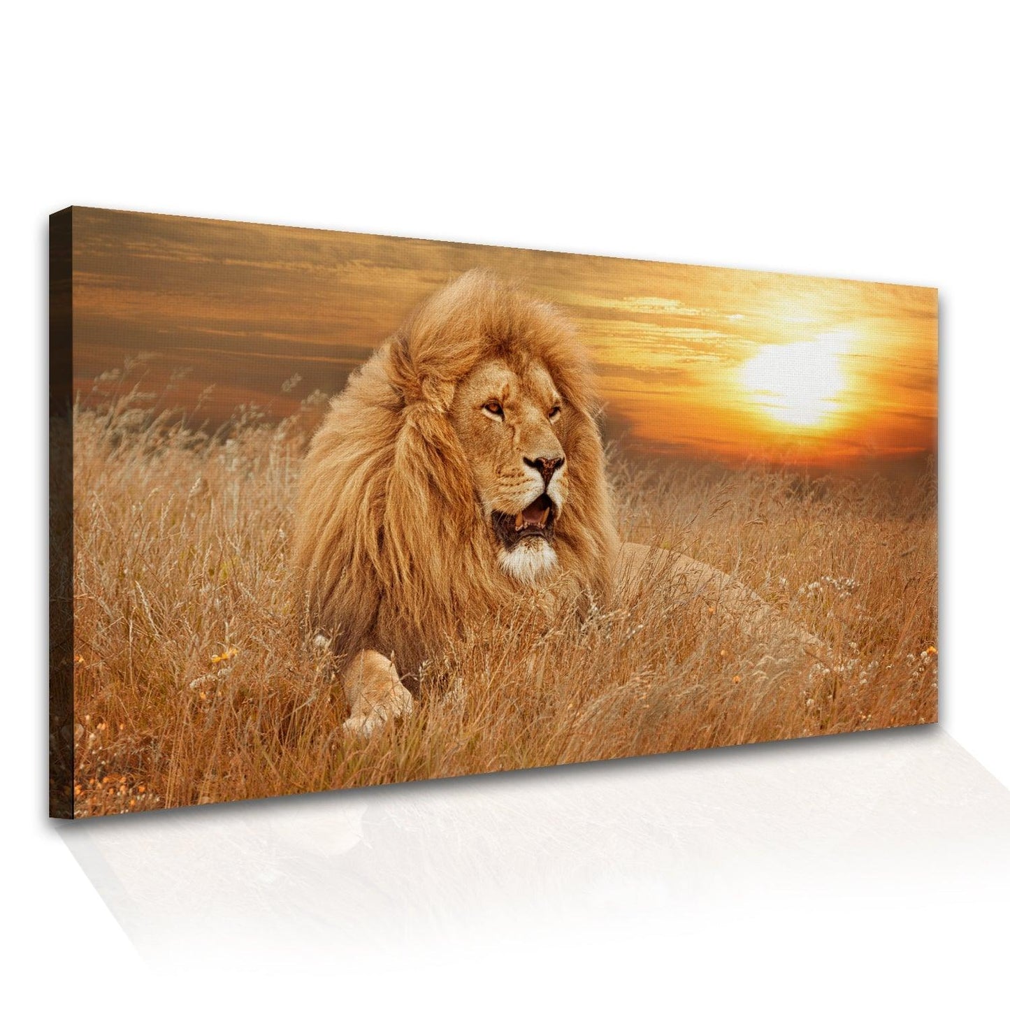 Amazing Wildlife Wall Art. Large Canvas Framed Digital Reprints of Jungle, Wildlife, Animals and Birds. Ready To Hang. Size: 24 Inch x 48 Inch (WBWA25) - Khirki.in