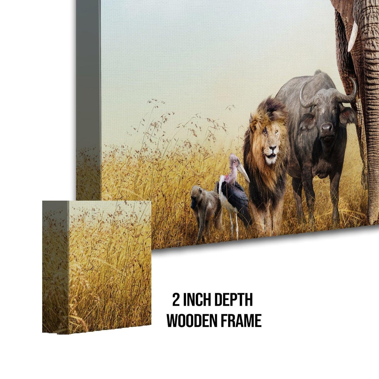 Amazing Wildlife Wall Art. Large Canvas Framed Digital Reprints of Jungle, Wildlife, Animals and Birds. Ready To Hang. Size: 24 Inch x 48 Inch (WBWA26) - Khirki.in