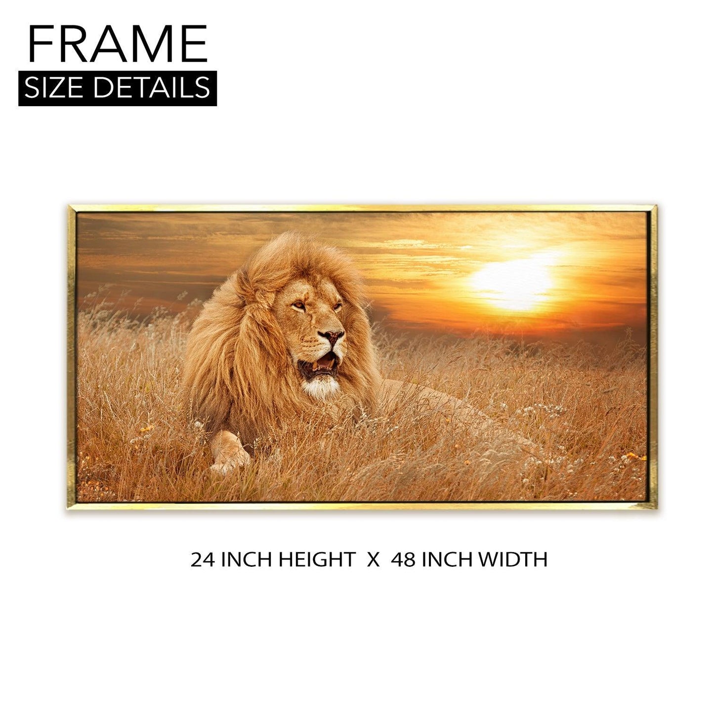 Amazing Wildlife Wall Art. Large Canvas Framed Digital Reprints of Jungle, Wildlife, Animals and Birds. Ready To Hang. Size: 24 Inch x 48 Inch (WBWA25) - Khirki.in