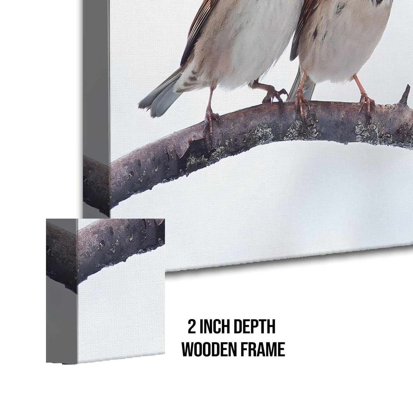 Amazing Wildlife Wall Art. Large Canvas Framed Digital Reprints of Jungle, Wildlife, Animals and Birds. Ready To Hang. Size: 24 Inch x 48 Inch (WBWA29) - Khirki.in