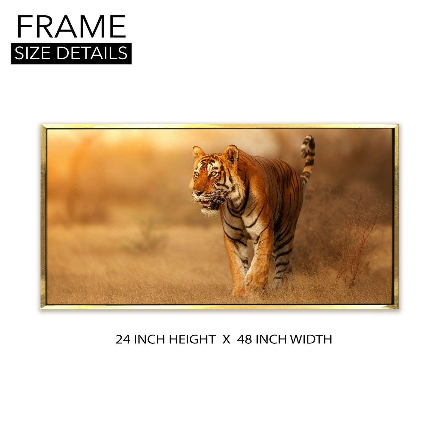 Amazing Wildlife Wall Art. Large Canvas Framed Digital Reprints of Jungle, Wildlife, Animals and Birds. Ready To Hang. Size: 24 Inch x 48 Inch (WBWA28) - Khirki.in