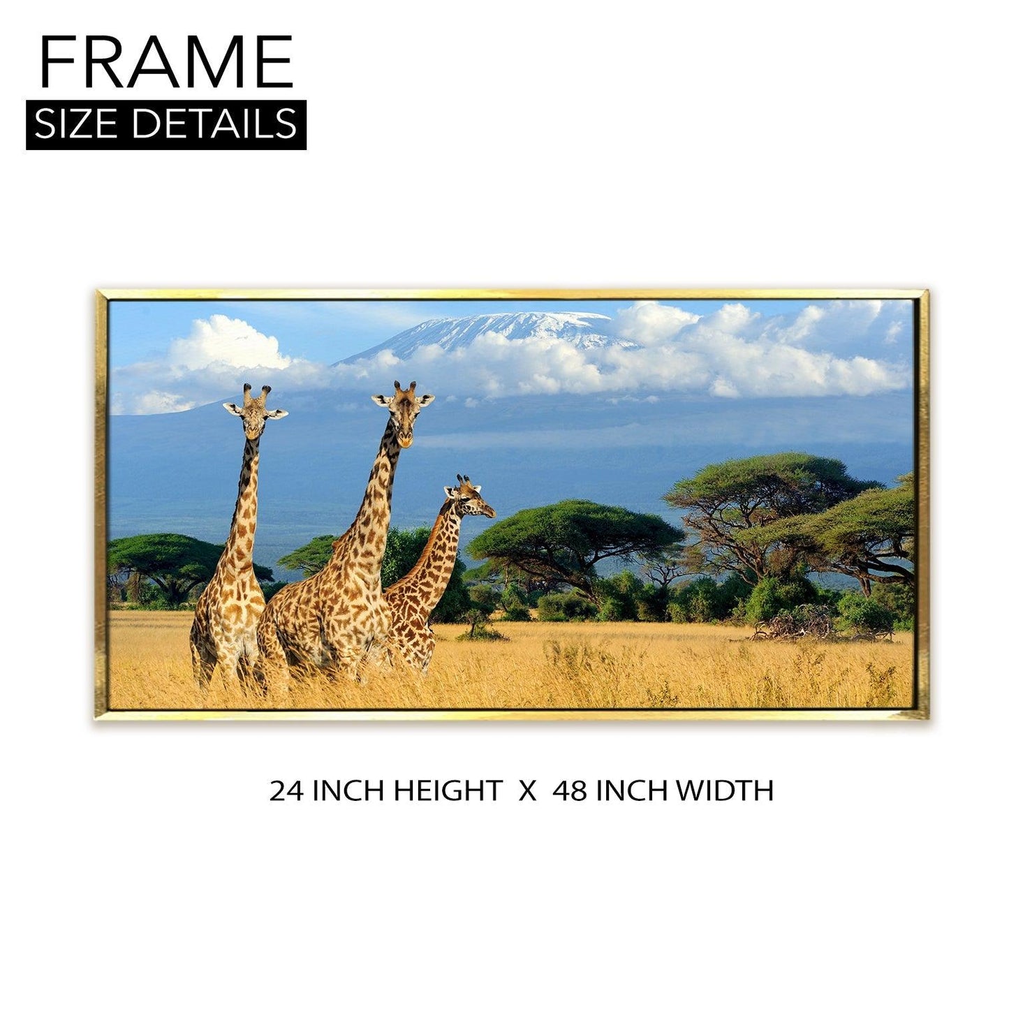 Amazing Wildlife Wall Art. Large Canvas Framed Digital Reprints of Jungle, Wildlife, Animals and Birds. Ready To Hang. Size: 24 Inch x 48 Inch (WBWA27) - Khirki.in