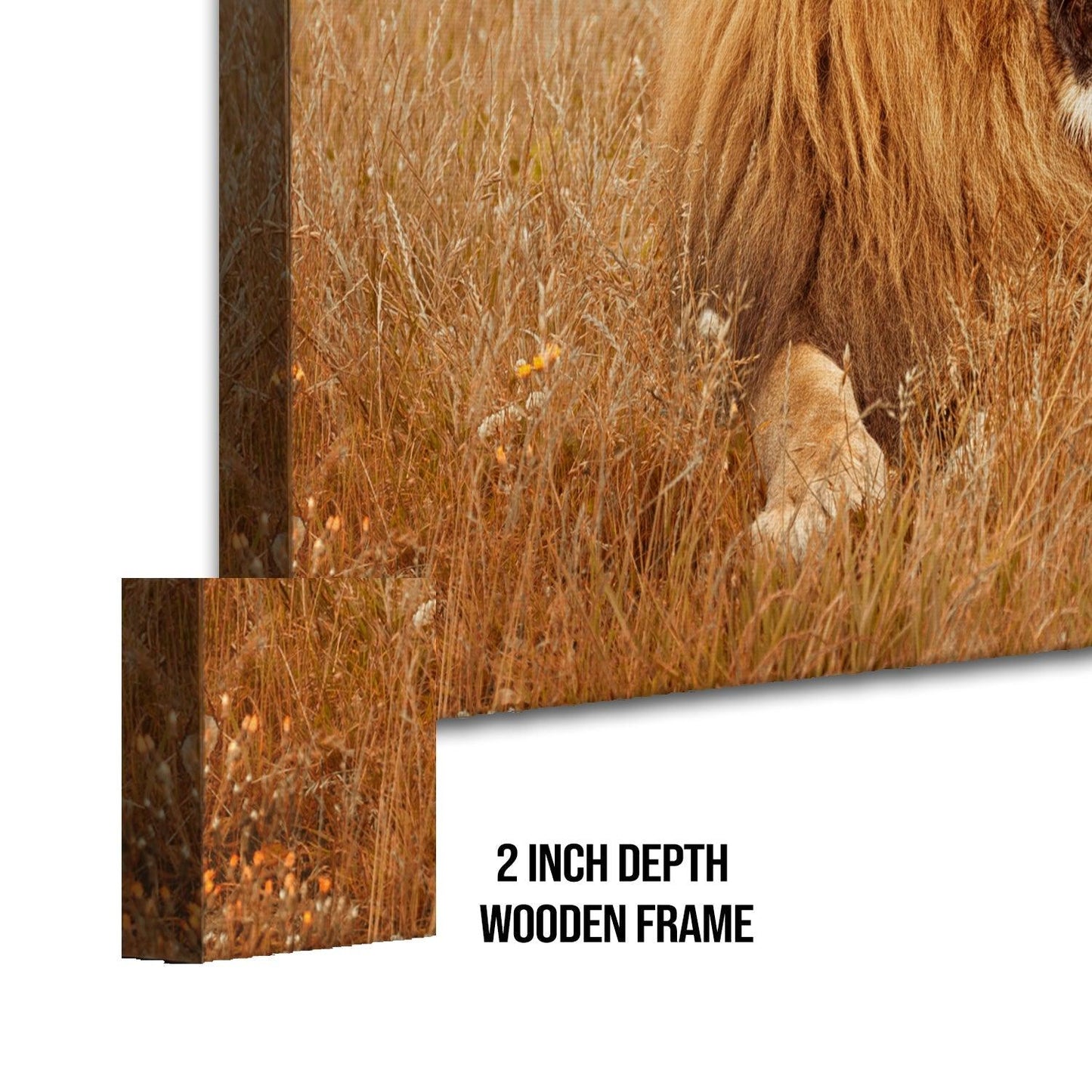Amazing Wildlife Wall Art. Large Canvas Framed Digital Reprints of Jungle, Wildlife, Animals and Birds. Ready To Hang. Size: 24 Inch x 48 Inch (WBWA25) - Khirki.in