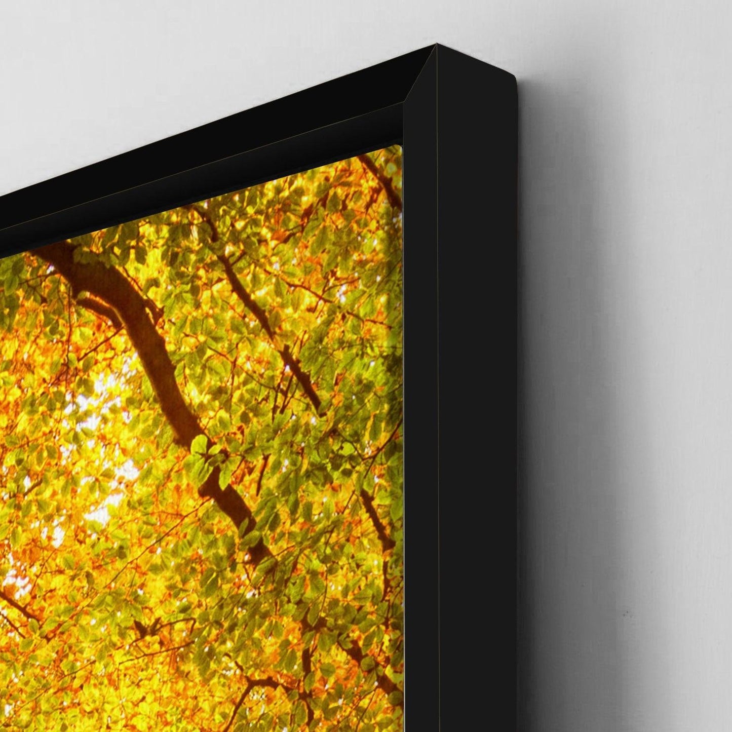 Amazing Wildlife Wall Art. Large Canvas Paintings. Framed Digital Reprints of Jungle, Wildlife, Animals and Birds 24 Inch x 48 Inch(WBWA03) - Khirki.in