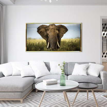 Amazing Wildlife Wall Art. Large Canvas Paintings. Framed Digital Reprints of Jungle, Wildlife, Animals and Birds 24 Inch x 48 Inch (WBWA24) - Khirki.in 