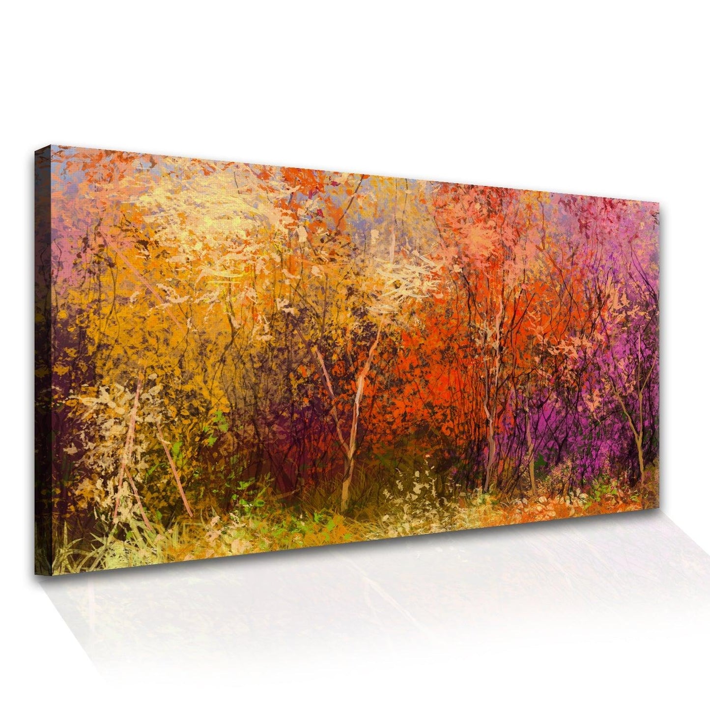 Amazing Wildlife Wall Art. Large Canvas Paintings. Framed Digital Reprints of Jungle, Wildlife, Animals and Birds 24 Inch x 48 Inch (WBWA08) - Khirki.in 