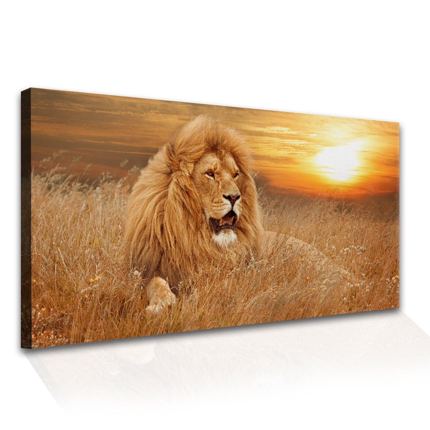 Amazing Wildlife Wall Art. Large Canvas Framed Digital Reprints of Jungle, Wildlife, Animals and Birds. Ready To Hang. Size:  24 Inch x 48 Inch (WBWA25) - Khirki.in 