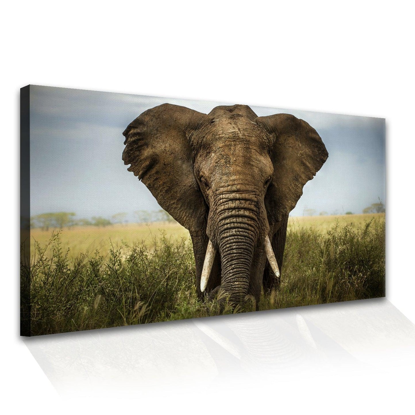 Amazing Wildlife Wall Art. Large Canvas Paintings. Framed Digital Reprints of Jungle, Wildlife, Animals and Birds 24 Inch x 48 Inch (WBWA24) - Khirki.in 