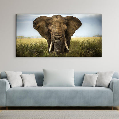 Amazing Wildlife Wall Art. Large Canvas Paintings. Framed Digital Reprints of Jungle, Wildlife, Animals and Birds 24 Inch x 48 Inch (WBWA24) - Khirki.in 
