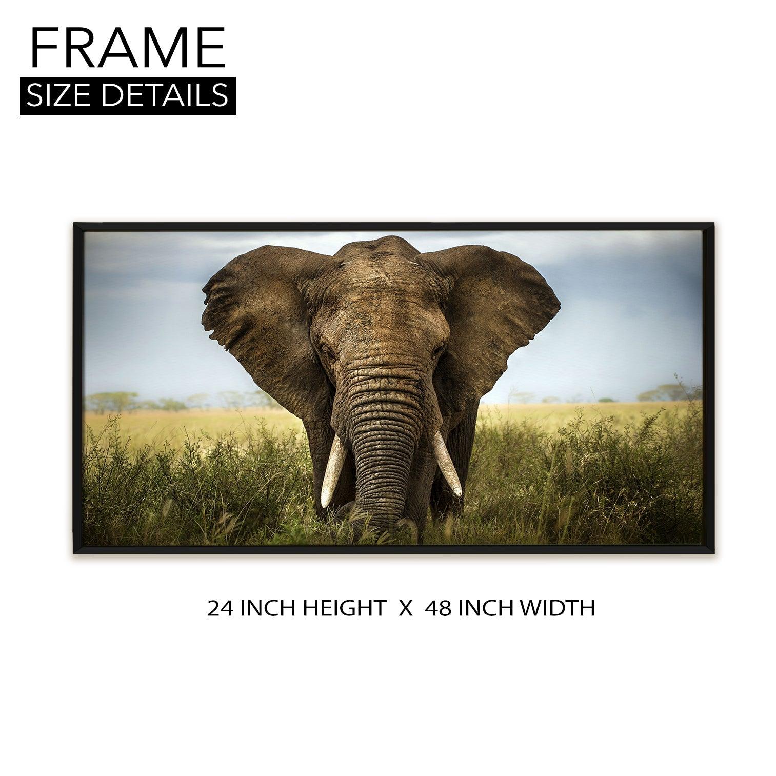 Amazing Wildlife Wall Art. Large Canvas Paintings. Framed Digital Reprints of Jungle, Wildlife, Animals and Birds 24 Inch x 48 Inch (WBWA24) - Khirki.in 