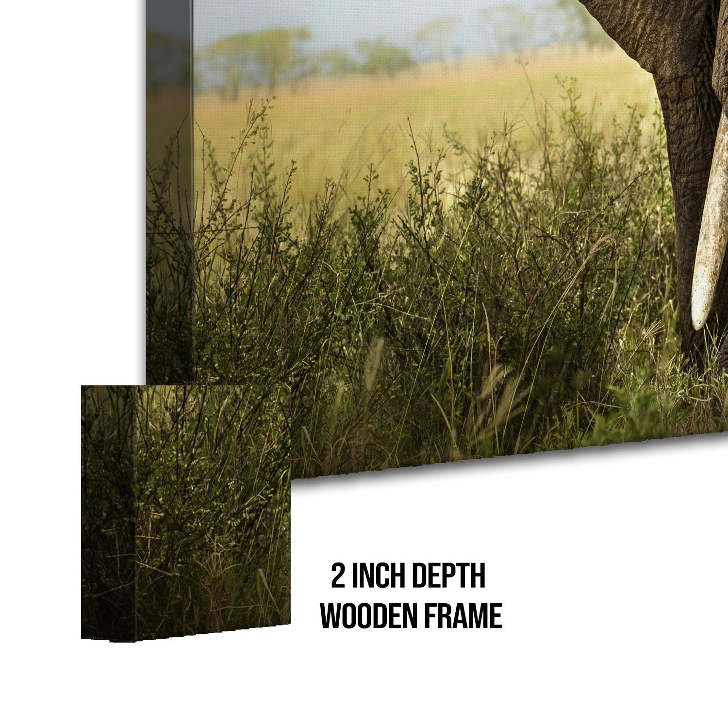 Amazing Wildlife Wall Art. Large Canvas Paintings. Framed Digital Reprints of Jungle, Wildlife, Animals and Birds 24 Inch x 48 Inch (WBWA24) - Khirki.in 