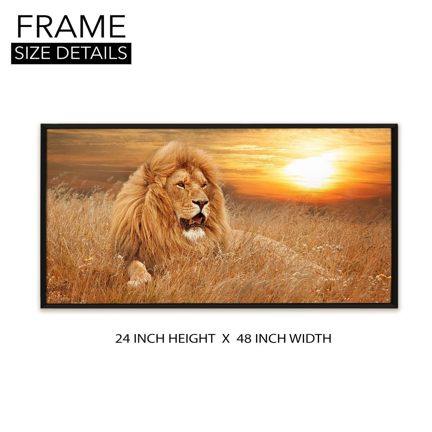 Amazing Wildlife Wall Art. Large Canvas Framed Digital Reprints of Jungle, Wildlife, Animals and Birds. Ready To Hang. Size:  24 Inch x 48 Inch (WBWA25) - Khirki.in 