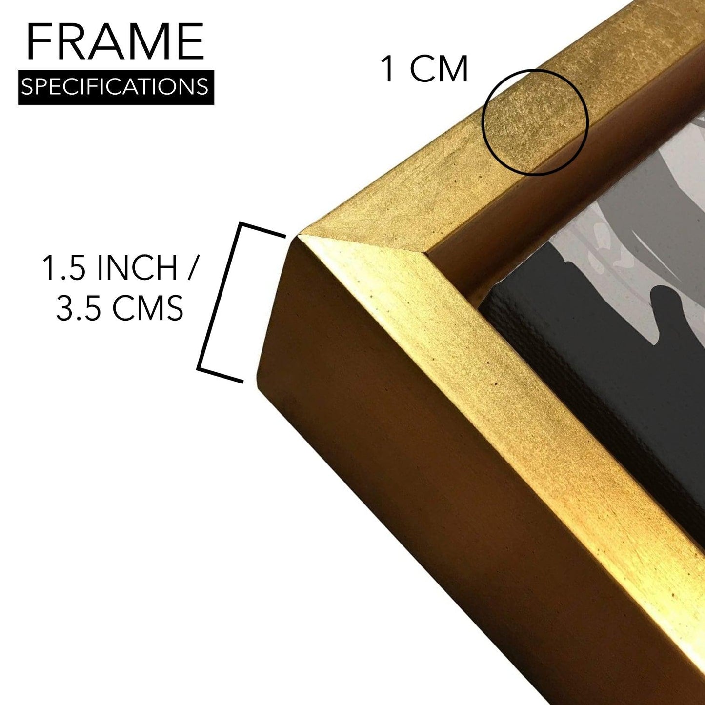 Amazing Wildlife Wall Art. Large Canvas Framed Digital Reprints of Jungle, Wildlife, Animals and Birds. Ready To Hang. Size:  24 Inch x 48 Inch (WBWA44) - Khirki.in 