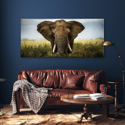 Amazing Wildlife Wall Art. Large Canvas Paintings. Framed Digital Reprints of Jungle, Wildlife, Animals and Birds 24 Inch x 48 Inch (WBWA24) - Khirki.in 