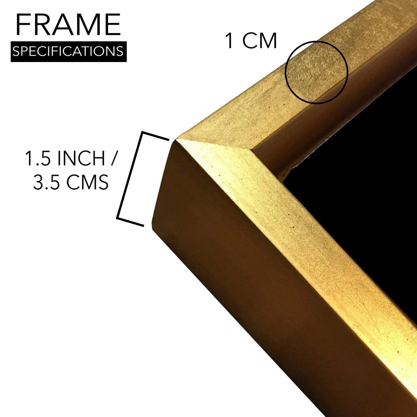 Amazing Wildlife Wall Art. Large Canvas Framed Digital Reprints of Jungle, Wildlife, Animals and Birds. Ready To Hang. Size:  24 Inch x 48 Inch (WBWA40) - Khirki.in 